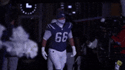Football Nfl GIF by New England Patriots