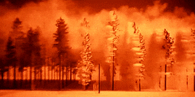 ismailkuscu giphyupload GIF
