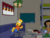 homer simpson episode 3 GIF