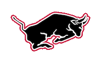 stampedersafc football hannover bulle stampeders Sticker