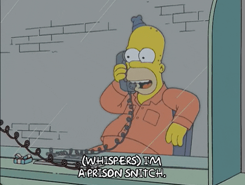 homer simpson GIF