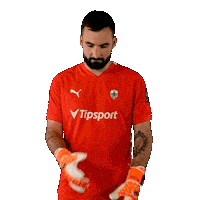 Football Soccer Sticker by Nike liga