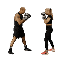 Boxing Sparring Sticker by boxschmiede