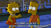 Lisa Simpson GIF by The Simpsons