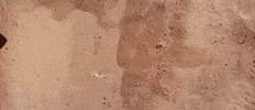 return of the jedi episode 6 GIF by Star Wars