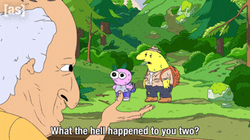What The Hell Journey GIF by Adult Swim