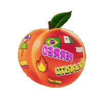 Music Festival Sticker by Baja Beach Fest