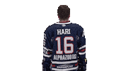 Ice Hockey Sticker by Fehervar AV19