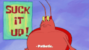 season 9 GIF by SpongeBob SquarePants