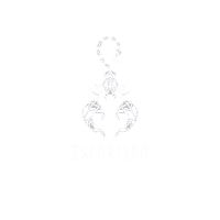 Signos Escorpiao Sticker by Magnólia Papelaria