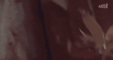 Woman Brazil GIF by Mirror