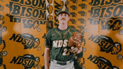 Baseball Bison GIF by NDSU Athletics