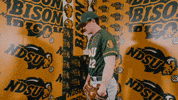 Baseball Bison GIF by NDSU Athletics