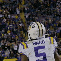 Death Valley Win GIF by LSU Tigers