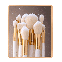 Brushes Makeupbrush Sticker by Beauty Creations Cosmetics