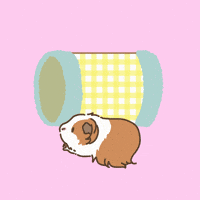 Tunnel Licht GIF