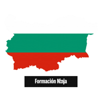 Flag Bandera Sticker by Formación Ninja