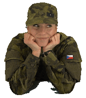 armadaceskerepubliky cute thinking army czech Sticker