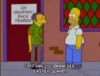 homer simpson GIF