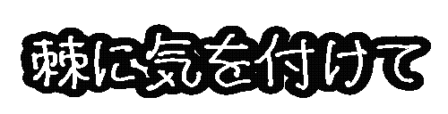 ちぇりーたん Sticker