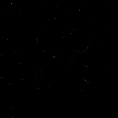 TheBeardStruggle brand beard viking tbs GIF