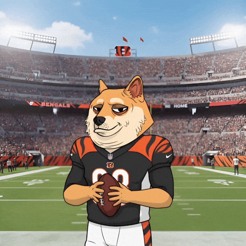 American Football GIF by Doge Pound