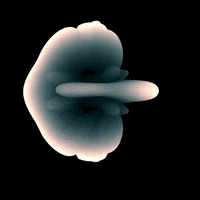 Art Morph GIF by Aleksey Efremov