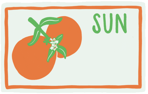 Sunshine State Florida GIF