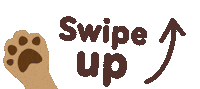 Swipe Up Big Dog Sticker by Big Dog Pet Foods