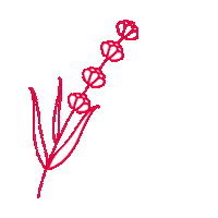 Christmas Flower Sticker by phaeno gGmbH
