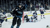 Happy Fired Up GIF by Quad City Storm