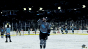 Hockey Hello GIF by Quad City Storm