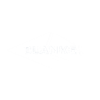 Blanke_Corporation tile sunburst schlüter blanke Sticker
