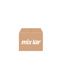 Recebidos Encomenda Sticker by Mix Lar