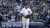 New York Yankees Baseball GIF by MLB