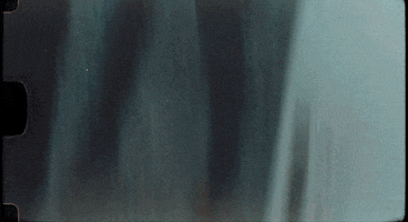 Southern Charm Beer GIF by Pure Noise Records