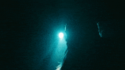Water Wave GIF by Mason Gold