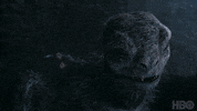 Dafne Keen Hbo GIF by His Dark Materials