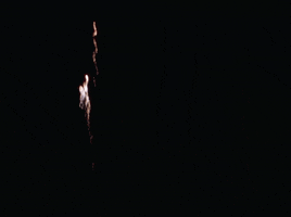 Celebrate Independence Day GIF by US National Archives