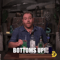 Party Fun GIF by Shark Week