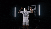 Georgia Tech Basketball GIF by Georgia Tech Yellow Jackets