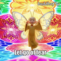 Color Joy GIF by BuddhaFlyJourney