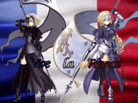 ObsiflageWT france fate alter vive la france GIF