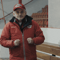 Hokej Yes GIF by Seznam.cz
