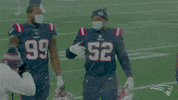 Happy Akeem Spence GIF by New England Patriots