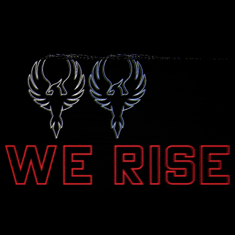 RiseAquaticClub phoenix rise we up we rise GIF