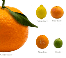 Bio Citrus GIF by Agribio