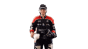 Celebration Goal Sticker by Les Ducs d'Angers