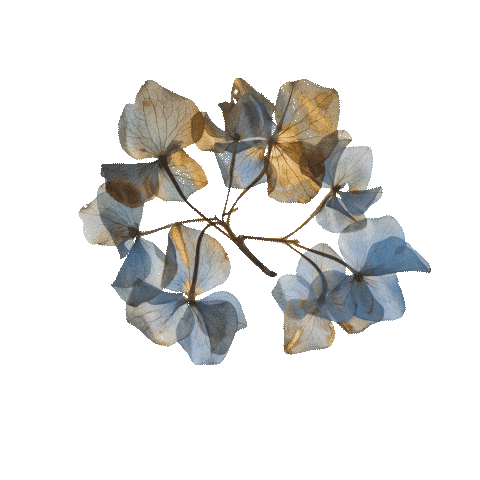 Sticker by pureencapsulations_de