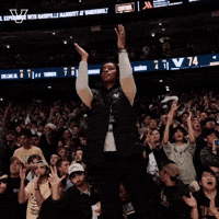 Sport Celebrate GIF by Vanderbilt Athletics